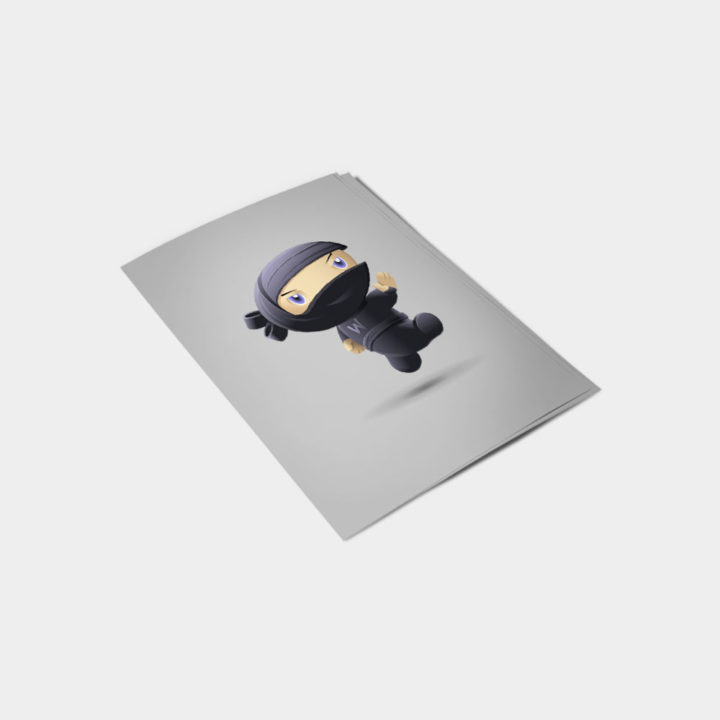 Flying Ninja - Bilde 2